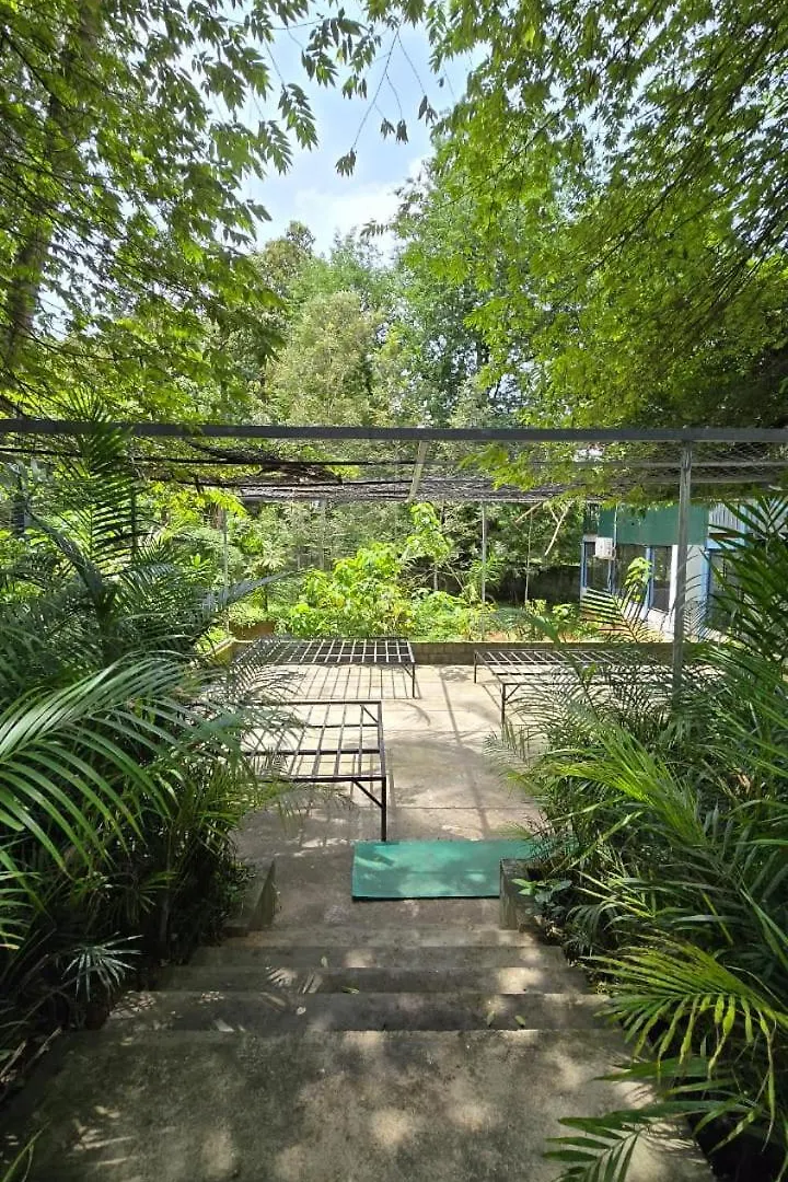 Green Aura By Bob Hotels Wayanad India